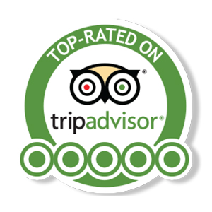 Top Rated Ecuador Birds Tours