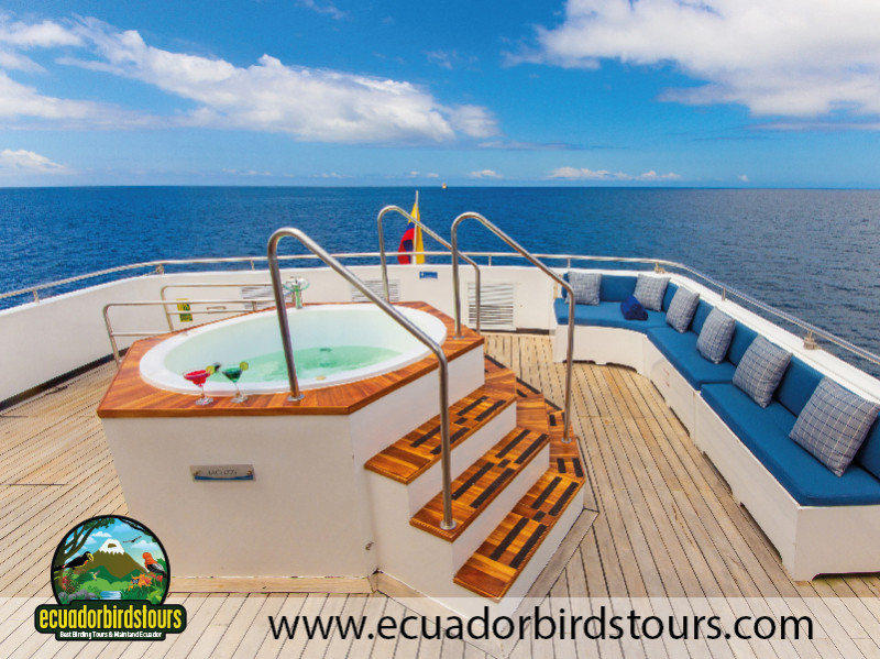 Diving Cruise Calipso Galapagos 12