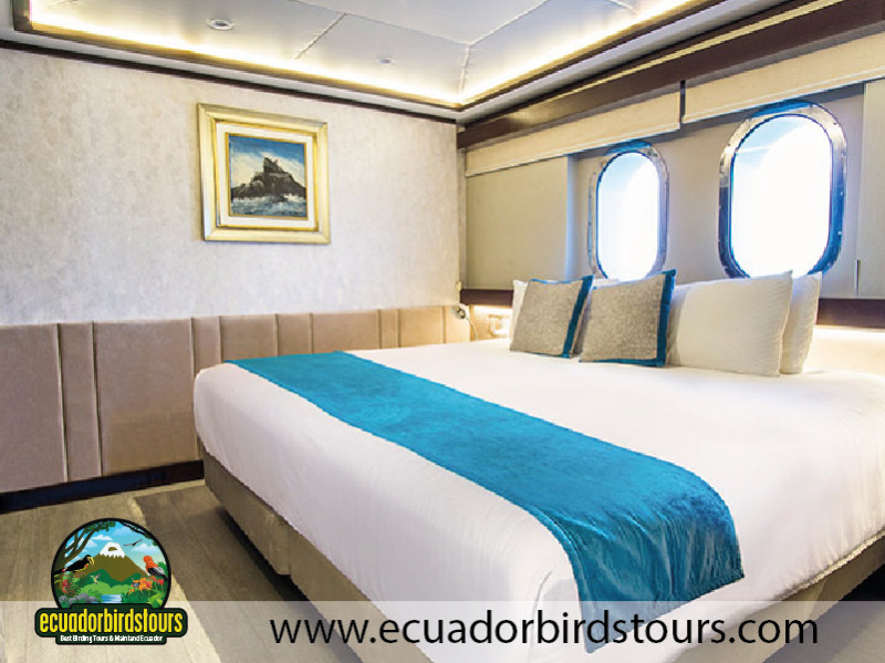 Grand Magestic Galapagos Cruise 13