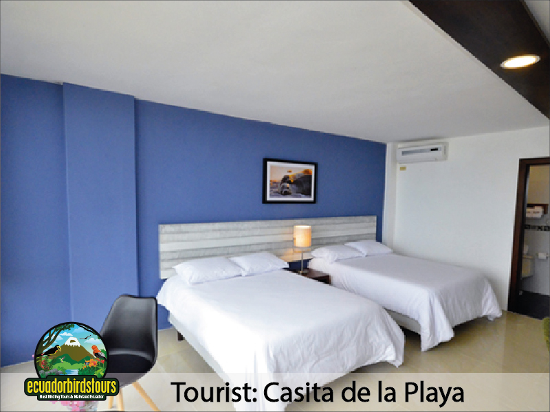 Isabela Hotels by Ecuador Birds Tours 01
