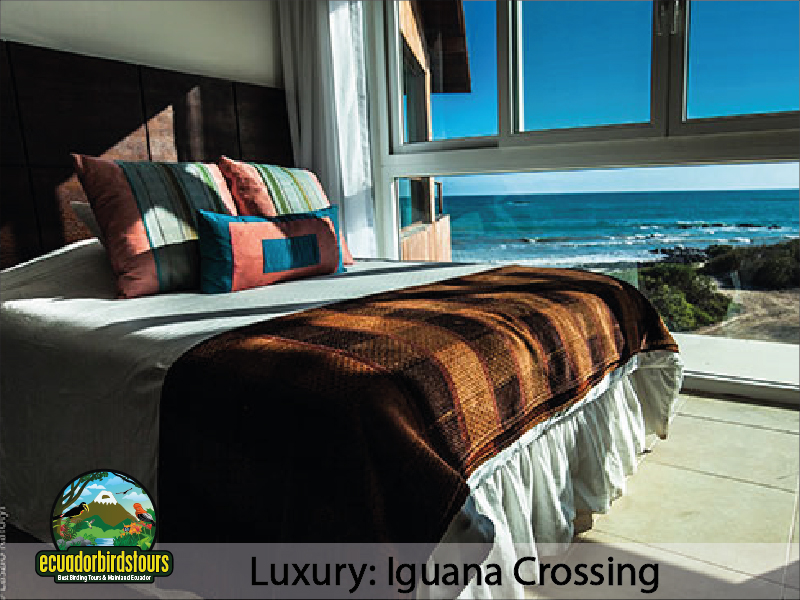Isabela Hotels by Ecuador Birds Tours 03