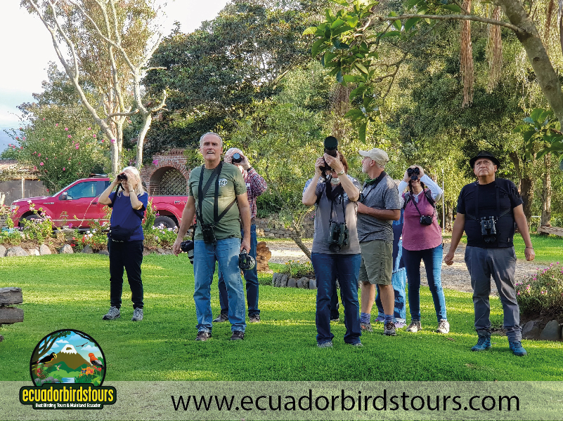 Birding Clients Ecuador-04