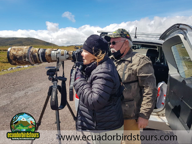 Birding Clients Ecuador-34
