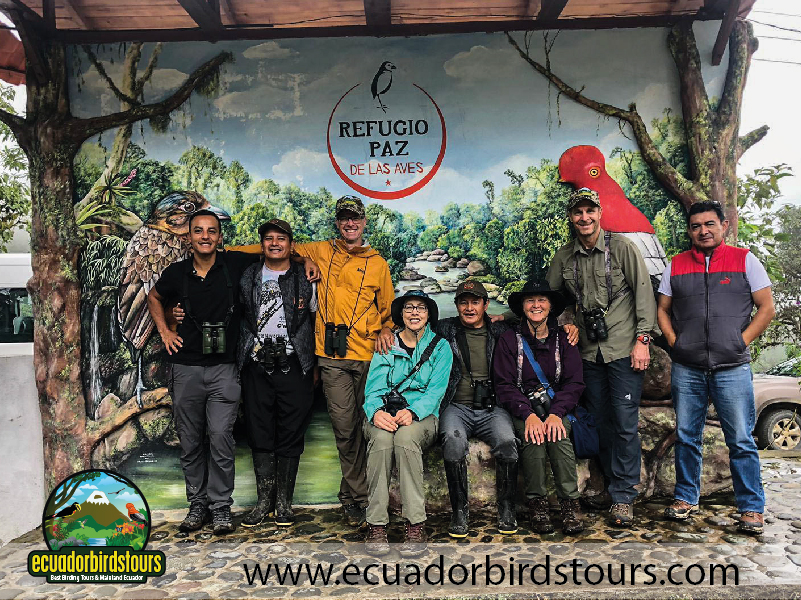 Birding Lodges Ecuador-07