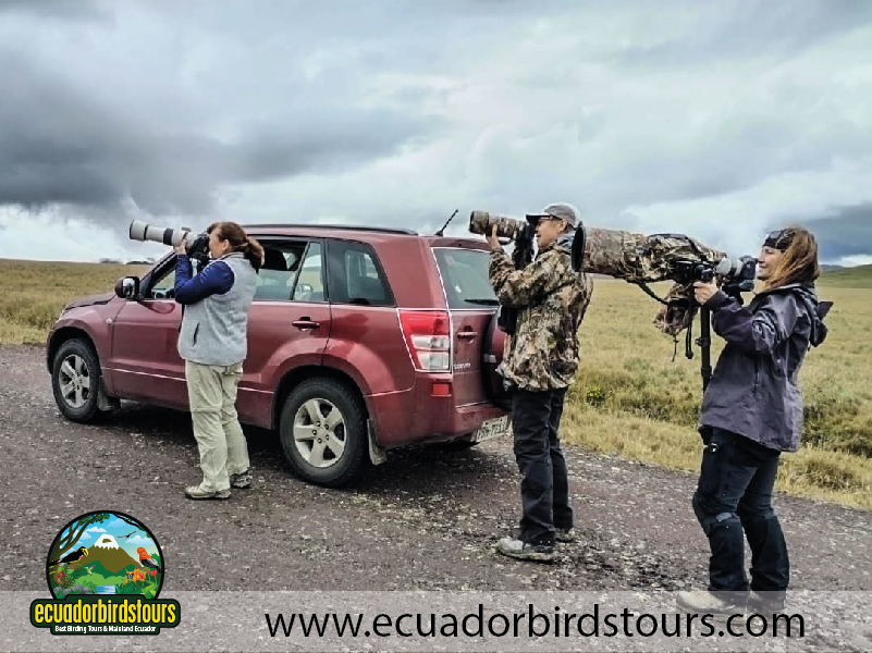 Birding Lodges Ecuador-21