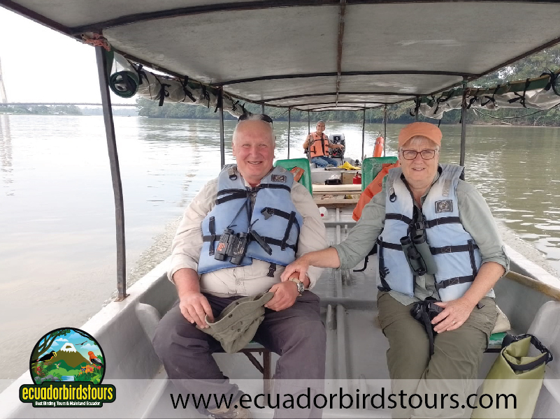 Birding in Ecuador Tours February-25