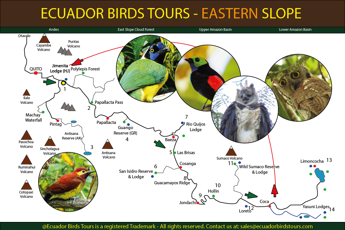 Ecuador Birds Tours Birding Maps 01