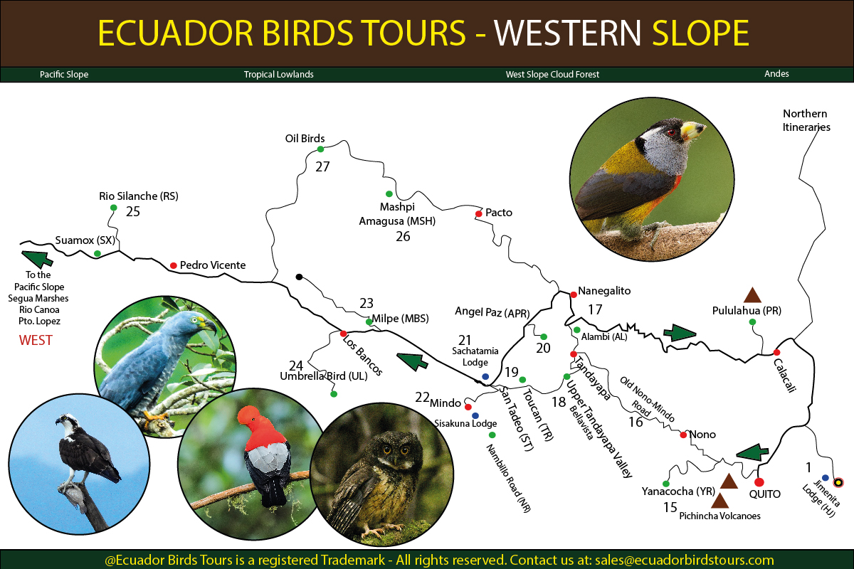 Ecuador Birds Tours Birding Maps 02