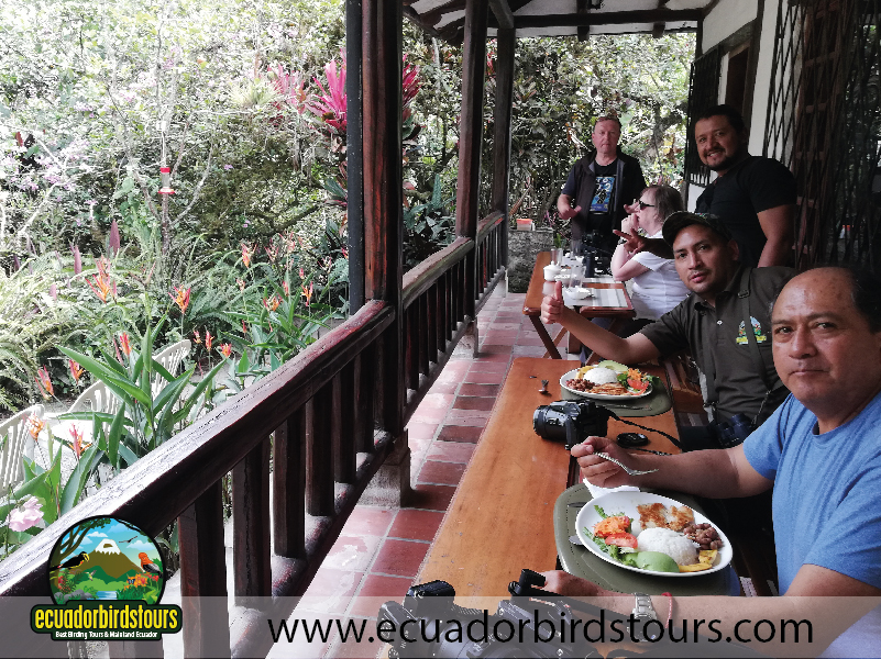 Full day Andean Cock of the Rock Tour by Ecuador Birds Tours 12