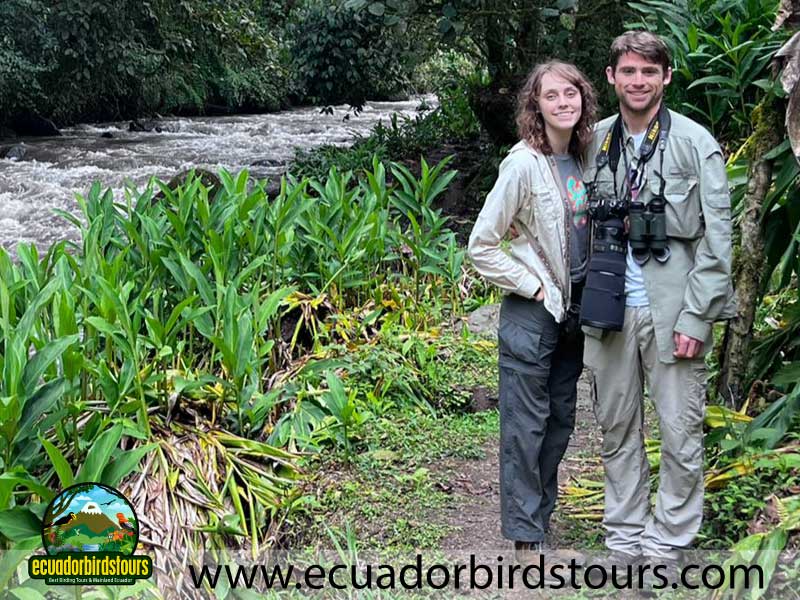 Yanacocha Full Day by Ecuador Birds Tours 13