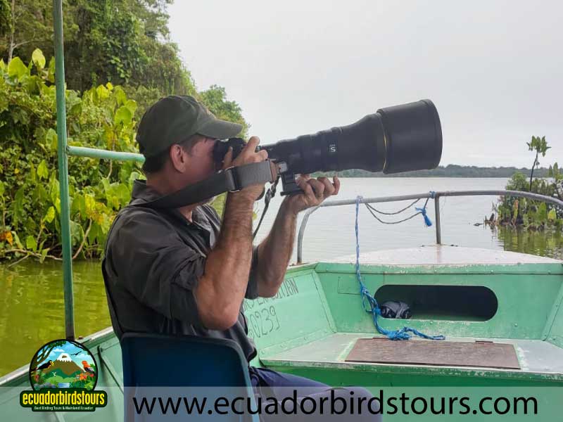 12 Days Birding Photography Tour in Ecuador David Blake Limoncocha