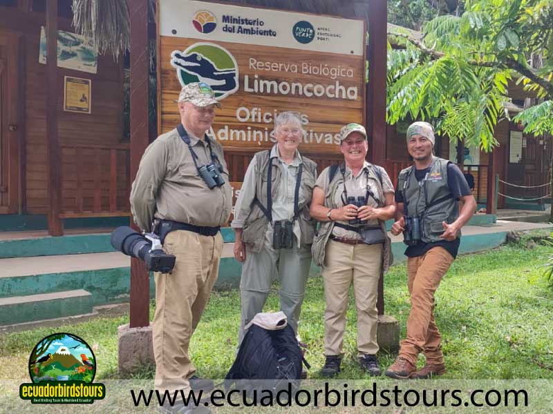 12 Days Birding Photography Tour in Ecuador Hillary UK