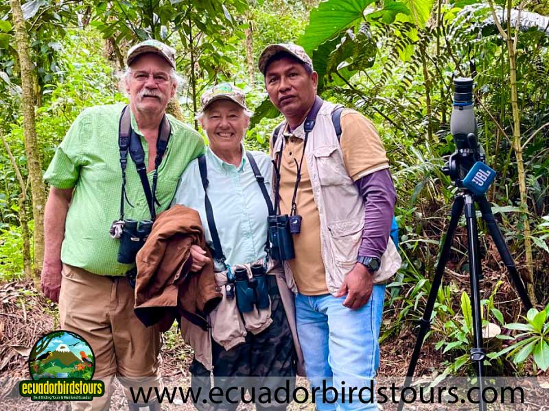 15 Days Birding in Ecuador Birdwatching Tours in Ecuador