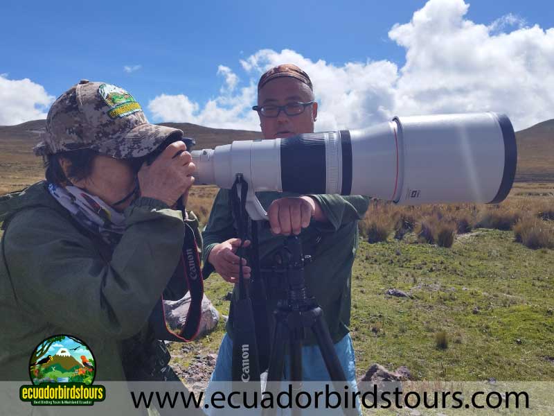 3 Days Birding in Ecuador Japan Client by Ecuador Birds Tours