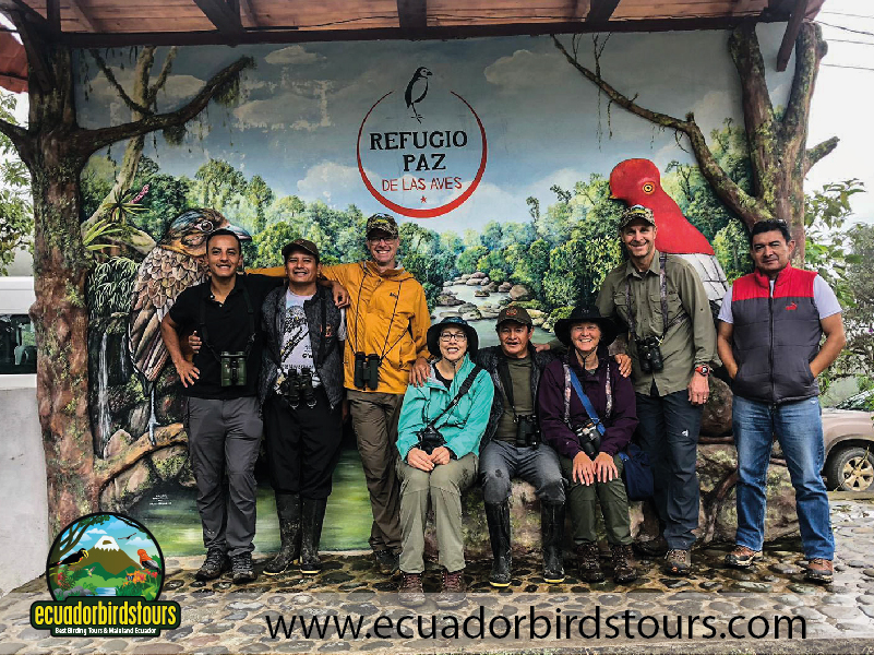 9 Days Birdwatching Tours in Ecuador Angel Paz by Ecuador Birds Tours