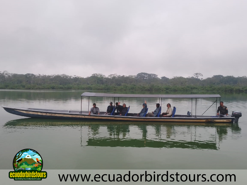 Tailor made Birding Photography Tours in Ecuador 61
