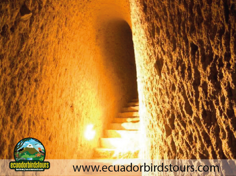 Jimenita Birding Lodge near Quito Airport 3