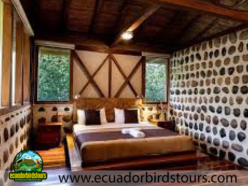 Ama Lodge Room Birding Lodges