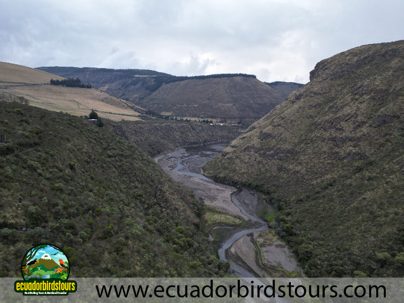 Birding Photo Tours by Diego Cruz Antisan Condor Observatory