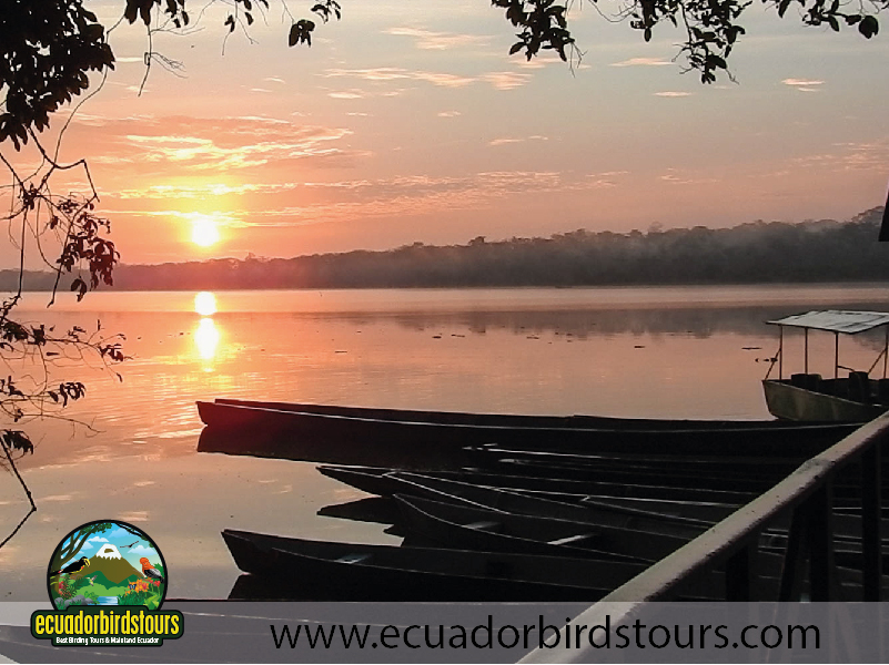 Limoncocha Lagoon by Ecuador Birds Tours 3