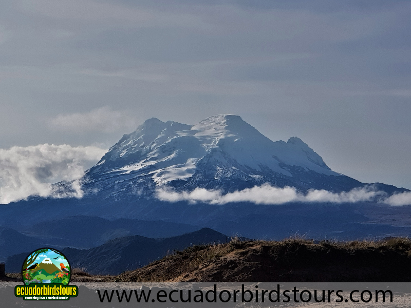 Birding Photo Tours by Diego Cruz