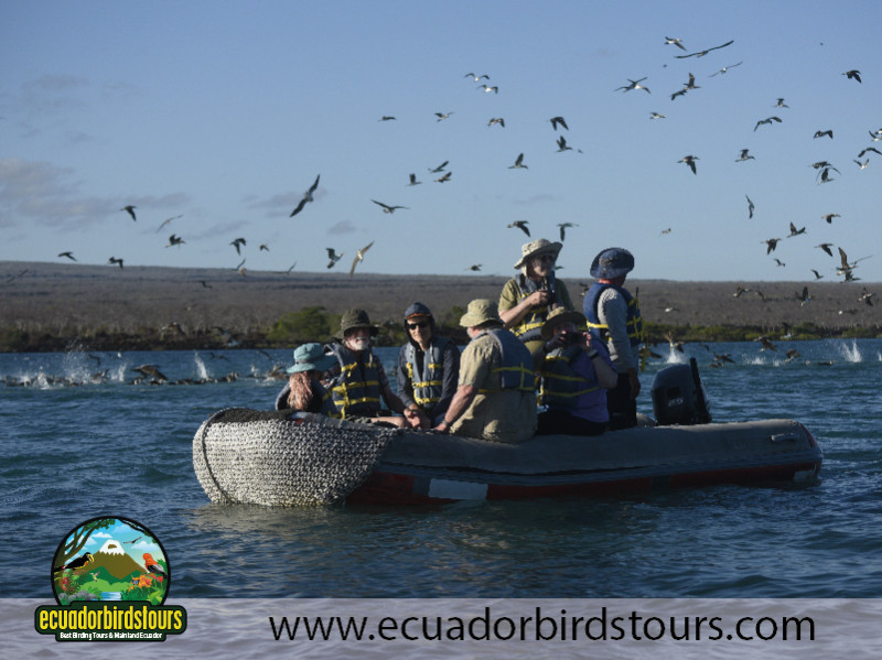 Floreana Island Alya Cruise by Ecuador Birds Tours