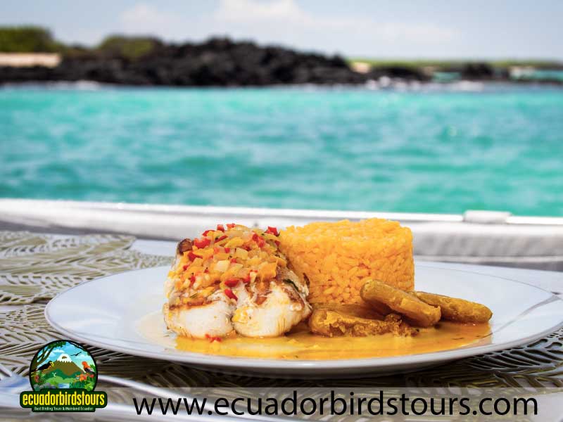 Galaxy Daily Meals by Ecuador Birds Tours