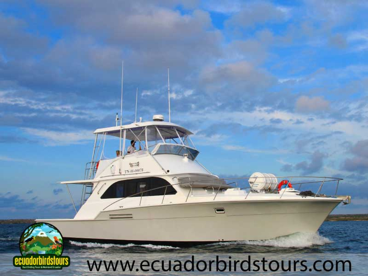 Galaxy Daily by Ecuador Birds Tours