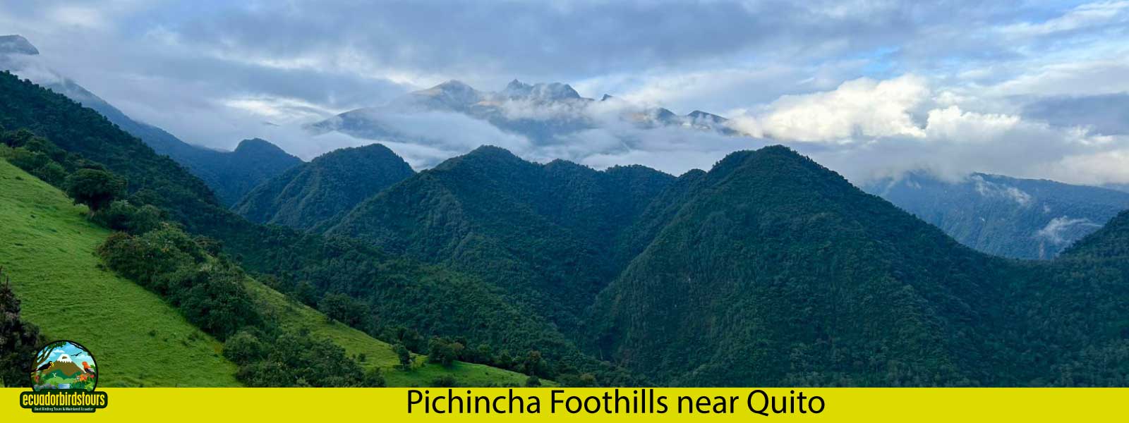 Pichincha Foothills