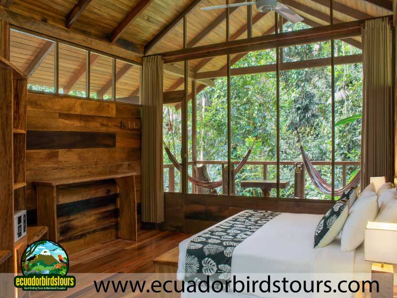 Top Birding Lodges in Ecuador Sacha Lodge