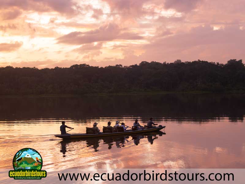 Napo Wildlife Center Amazon lodge by Ecuador Birds Tours 17