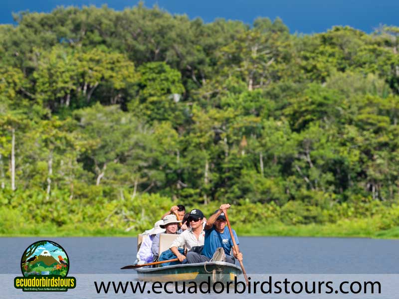 Napo Wildlife Center Amazon lodge by Ecuador Birds Tours 8