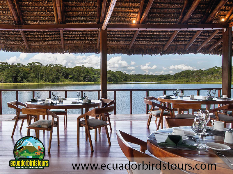Sacha Amazon Lodge by Ecuador Birds Tours 36