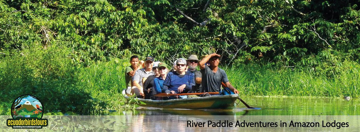Amazon Lodges By Ecuador Birds Tours