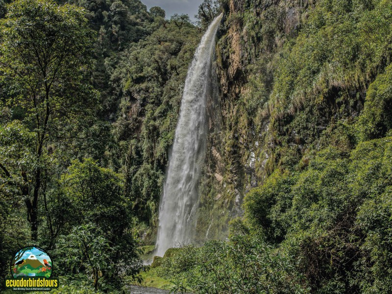 Machay Waterfall & Hidden Torrent Duck Trails