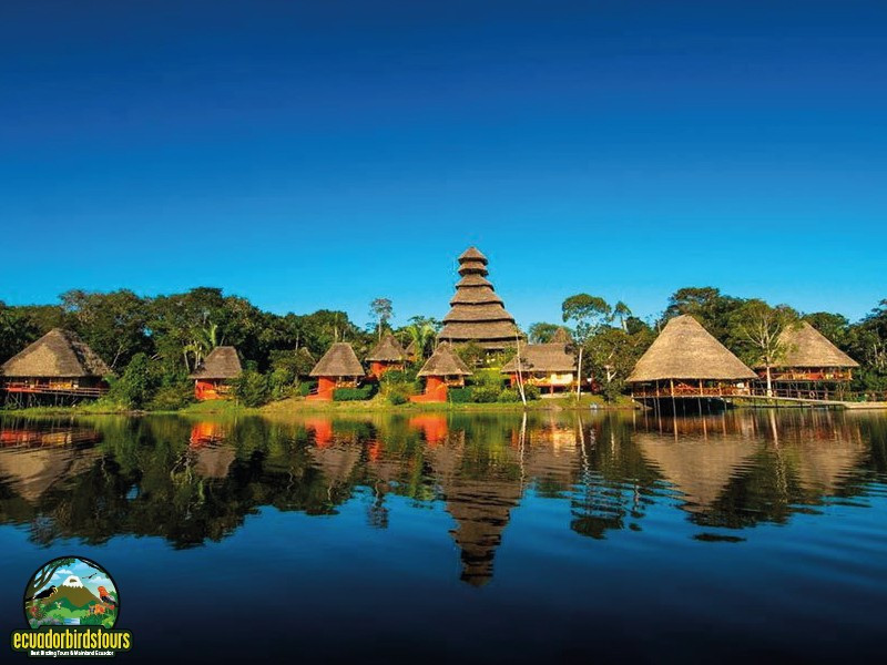 Ecuador Tours: Napo Wildlife Center Amazon Extension