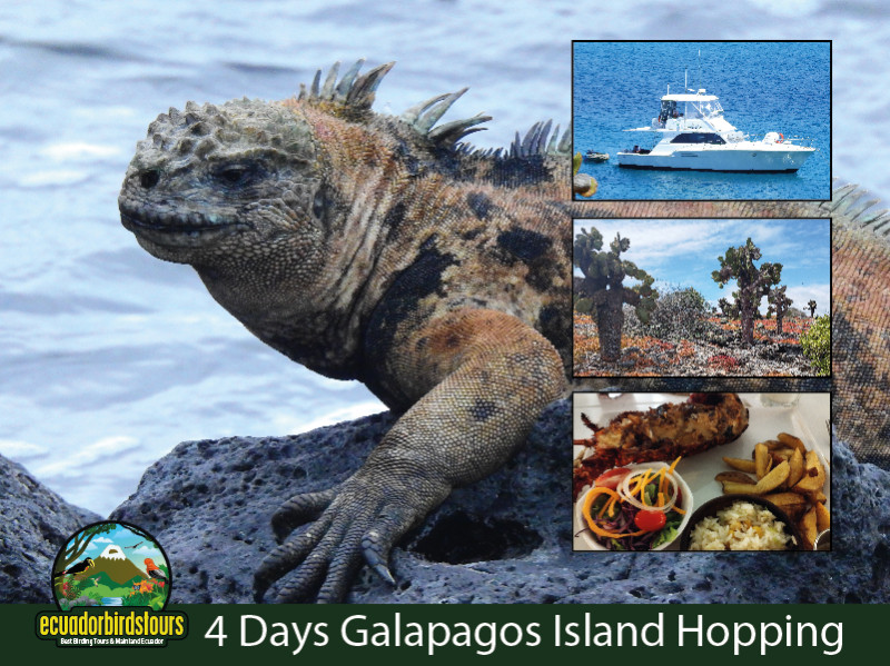 4 Days 3 Nights Intro to Galapagos Island Hopping