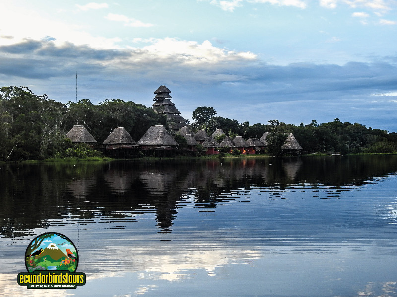 Napo Wildlife Center Lodge