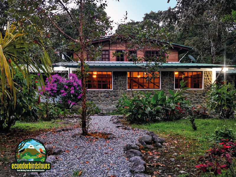Quijos Andean Motmot Lodge