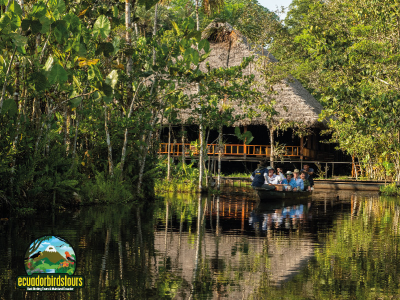 Sacha Luxury Amazon Lodge