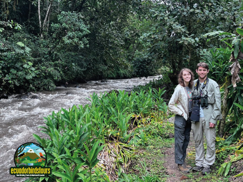 2022 May - 12 Days Cloud Forests
