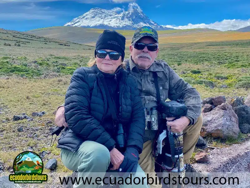 birding tours in ecuador by ecuador birds tours 1 9bc29e44