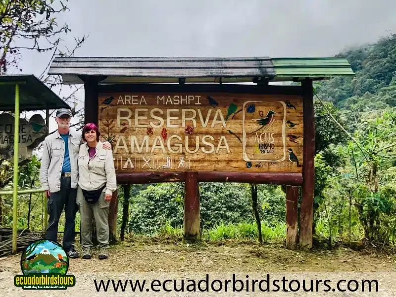 birding tours in ecuador by ecuador birds tours 2 e2c8e140