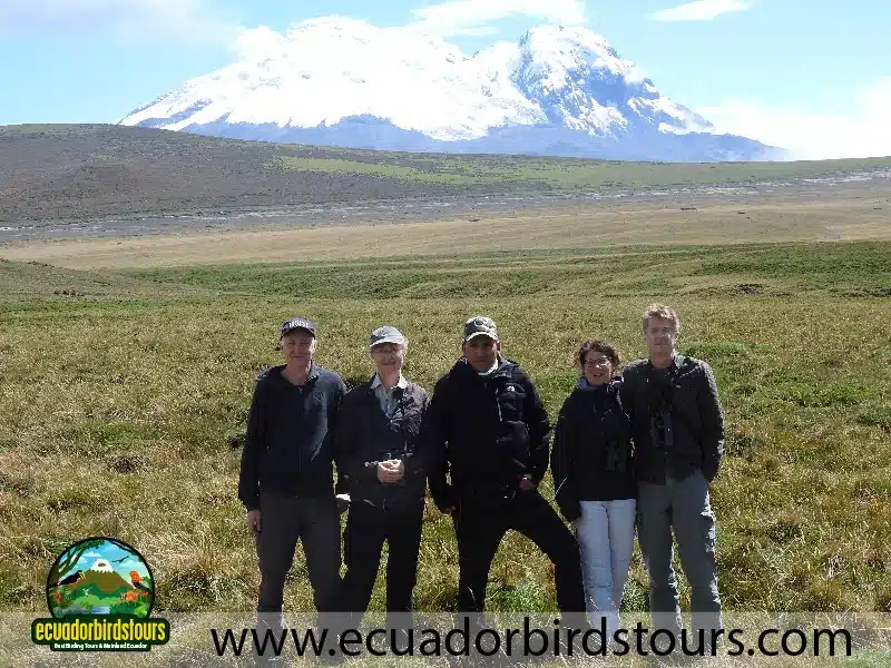 birdwatching tours in ecuador by ecuador birds tours 3 20799fc5