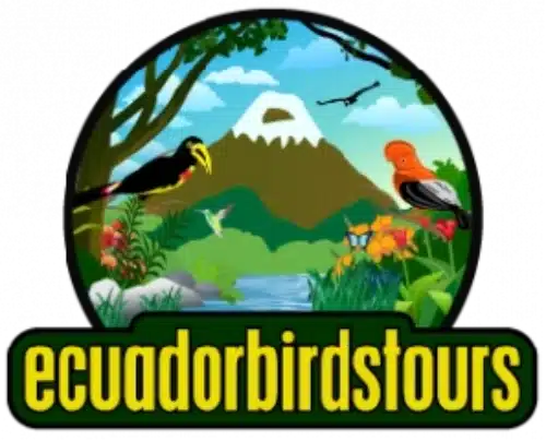 Ecuador Birds Tours