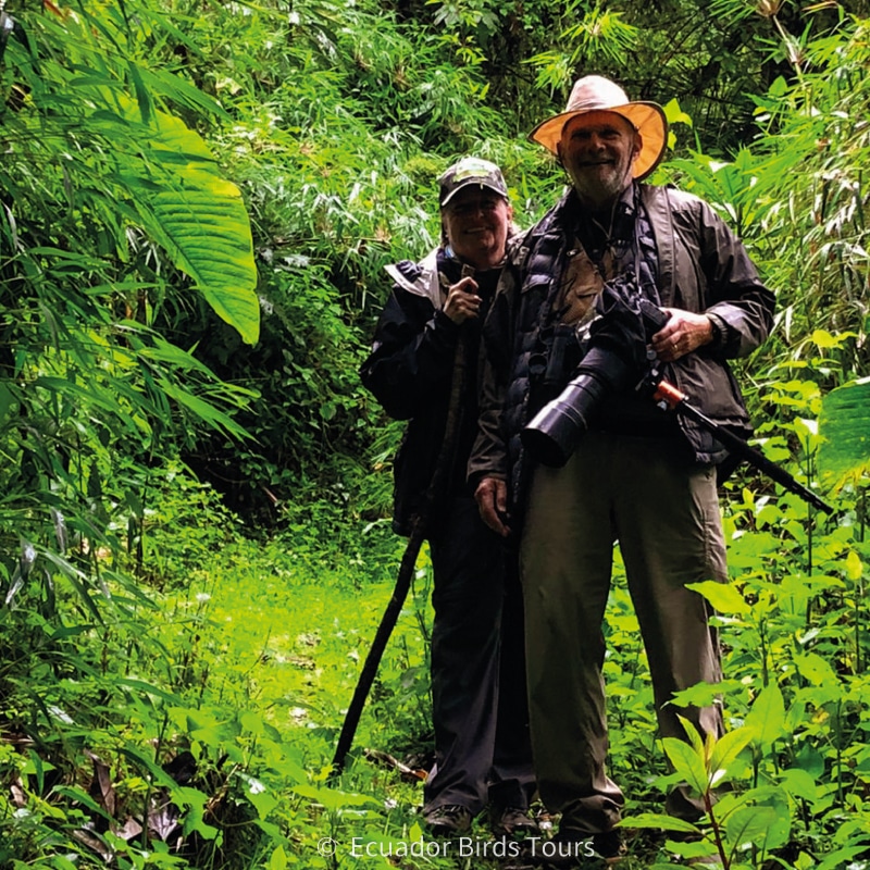 15 days birding photo tours in ecuador by ecuador birds tours (6)