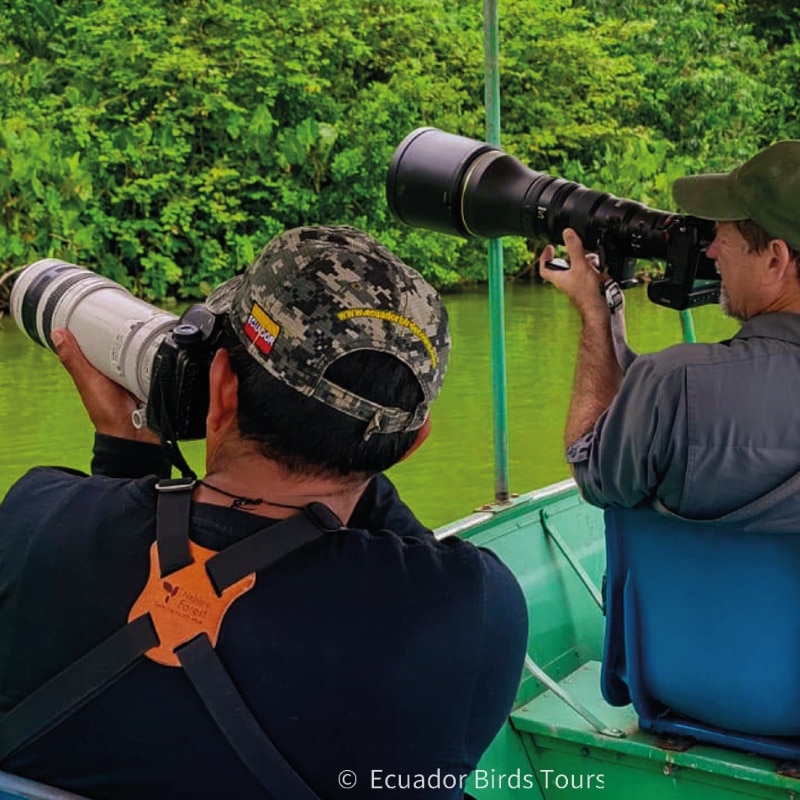 15 days birding photo tours in ecuador by ecuador birds tours (8)