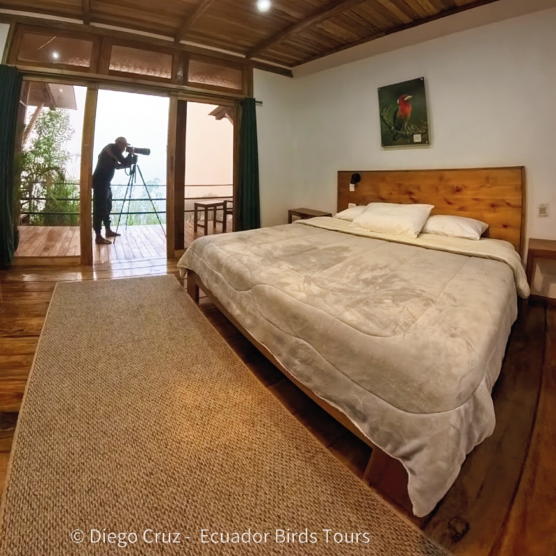 best bird lodges in ecuador by ecuador birds tours guaycapi lodge