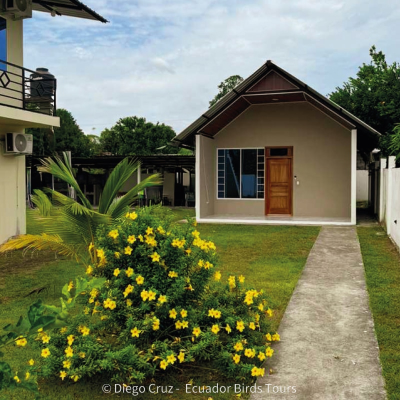 best bird lodges in ecuador by ecuador birds tours limoncocha cabins