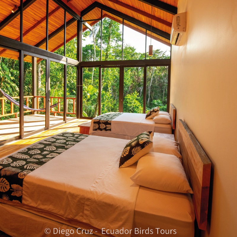 best bird lodges in ecuador by ecuador birds tours sacha lodge